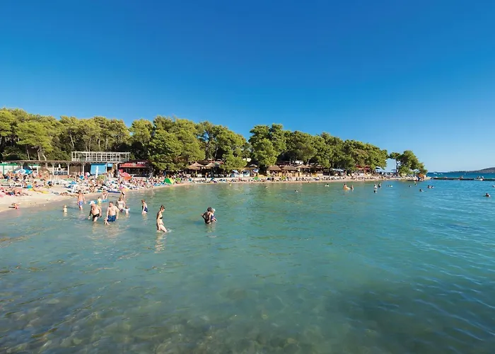 Pet Friendly In Tatil Evi *
